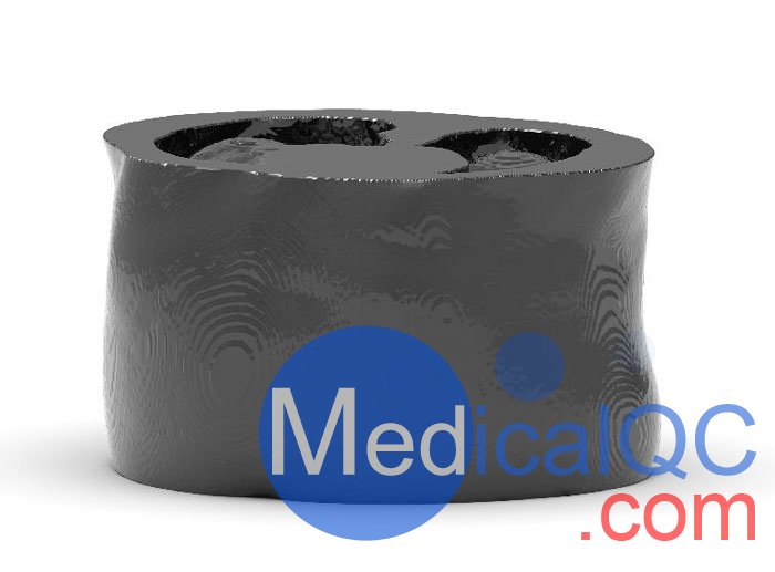 WEK53-04肝硬化腹部模體,WEK53-04門(mén)靜脈期腹部模體