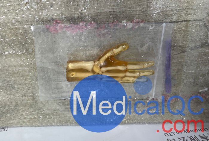 HN-P01兒童手掌模體，HN-P01手掌模型產品實拍圖