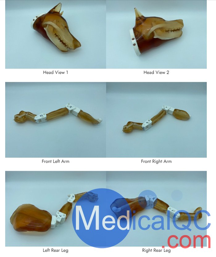 Dog Phantom，牧羊犬模體，模型結(jié)構(gòu)圖