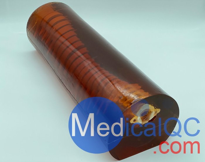 SE-A01成人脊柱模型,SE-A01成人脊柱模體產品實拍圖