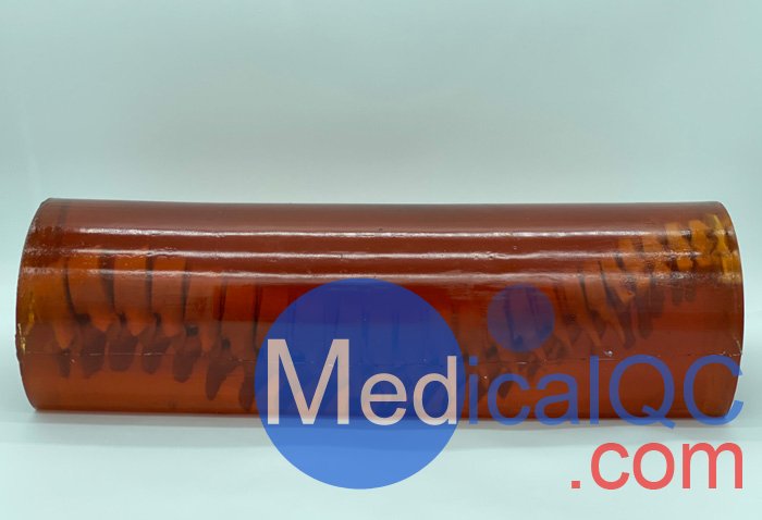 SE-A01成人脊柱模型,SE-A01成人脊柱模體產品實拍圖