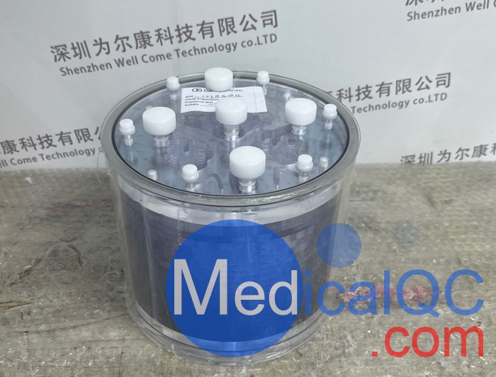 Hoffman 3-D腦模體，霍夫曼腦模體實物拍攝圖