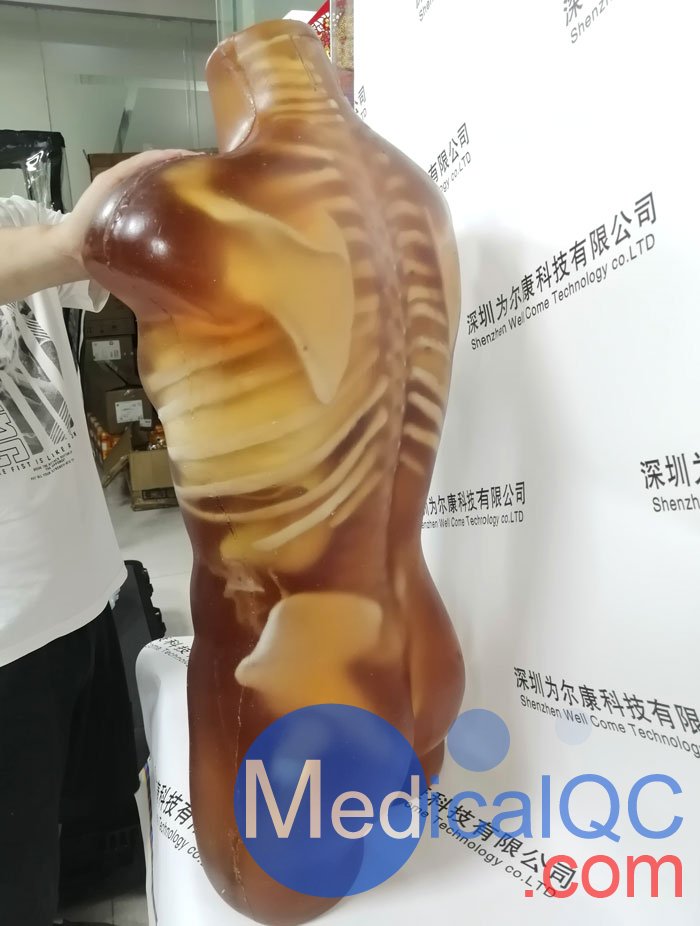 US-A02成人軀干模體，US-A02可用于超聲，CT,X射線成像