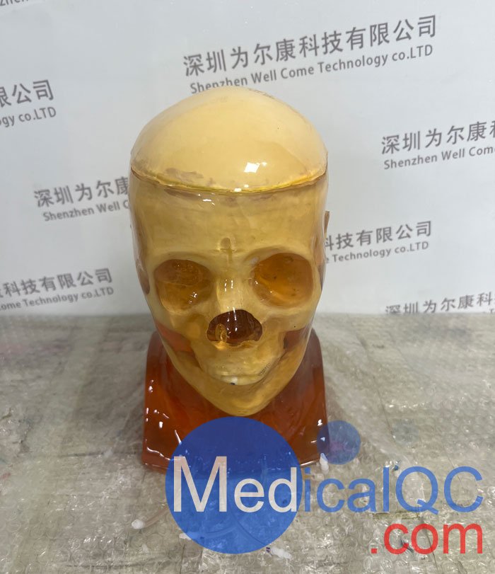 HD-C03成人頭模，HD-C03血管造影頭模，HD-C03頭部模體實拍圖