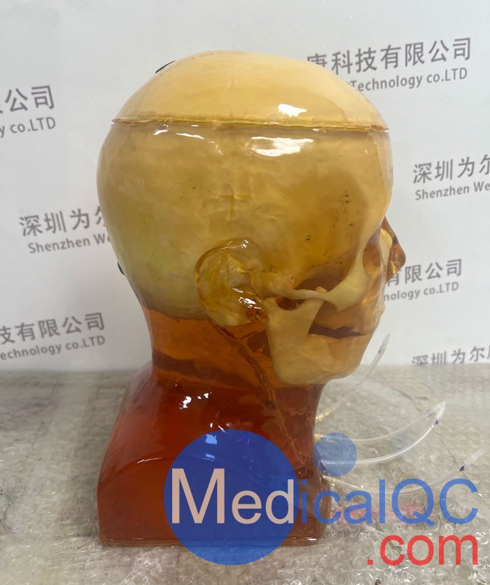 HD-C03成人頭模，HD-C03血管造影頭模，HD-C03頭部模體實拍圖