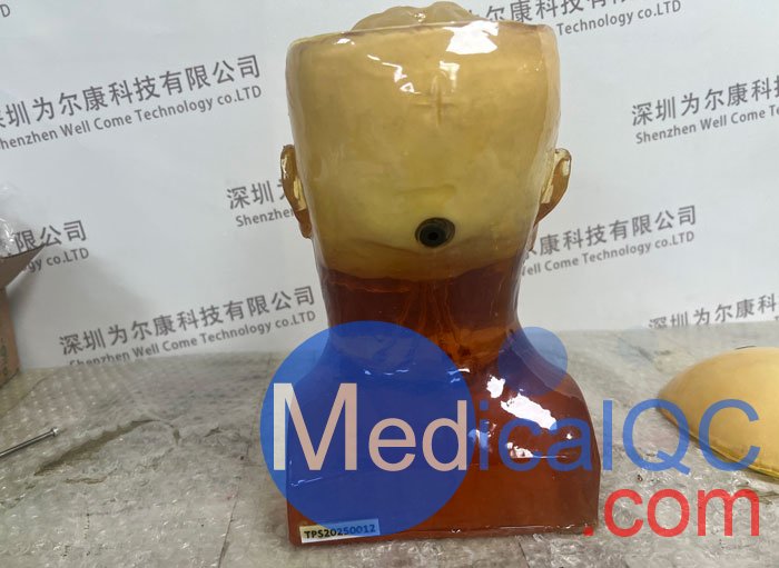 HD-C03成人頭模，HD-C03血管造影頭模，HD-C03頭部模體實拍圖