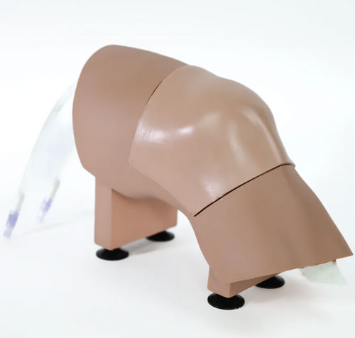 ARC-20-L關節穿刺訓練模型，ARC-20-L膝關節穿刺訓練模型