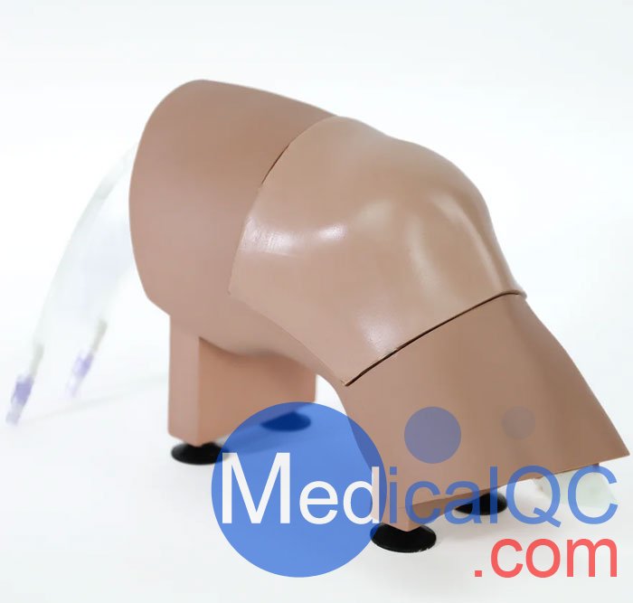 ARC-20-L關節穿刺訓練模型，ARC-20-L膝關節穿刺訓練模型