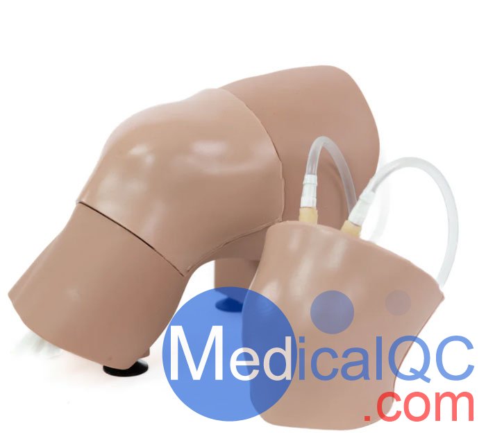 ARC-20-L關節穿刺訓練模型，ARC-20-L膝關節穿刺訓練模型