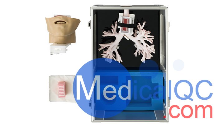 LM-099超聲支氣管鏡模擬器,LM-099支氣管穿刺訓練模型