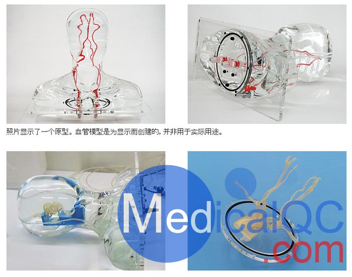 HB-1頭部血管模型，HB-1頭部體模，帶血管