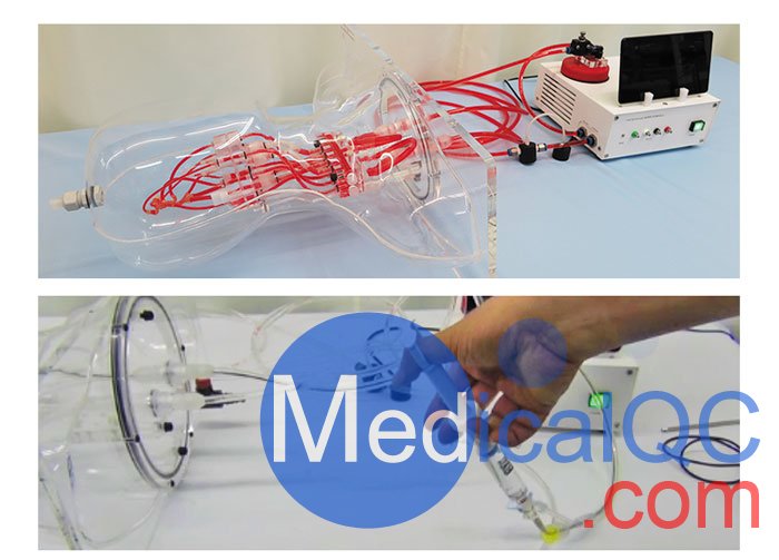 HB-1頭部血管模型，HB-1頭部體模，帶血管