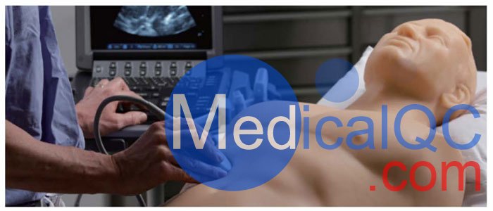 BPFAST1800創傷超聲重點評估訓練模型,BPFAST1800訓練模型