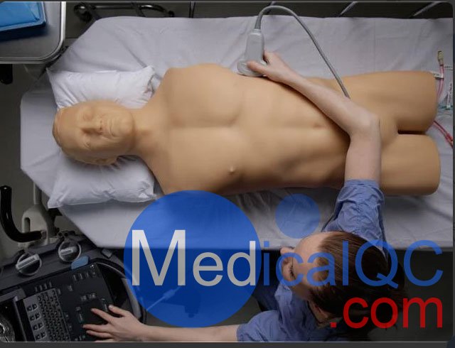 BPFAST1800創傷超聲重點評估訓練模型,BPFAST1800訓練模型