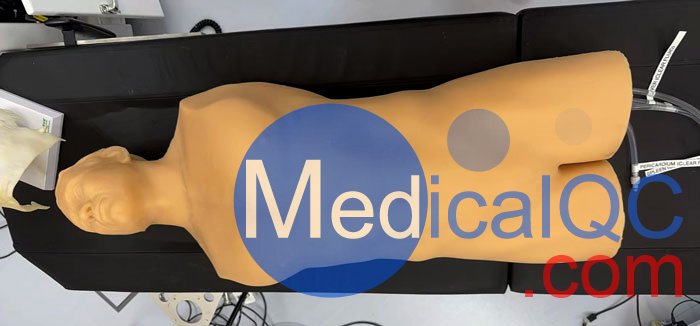 BPFAST1800創傷超聲重點評估訓練模型,BPFAST1800訓練模型實物拍攝圖