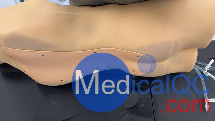 BPFAST1800創傷超聲重點評估訓練模型,BPFAST1800訓練模型實物拍攝圖